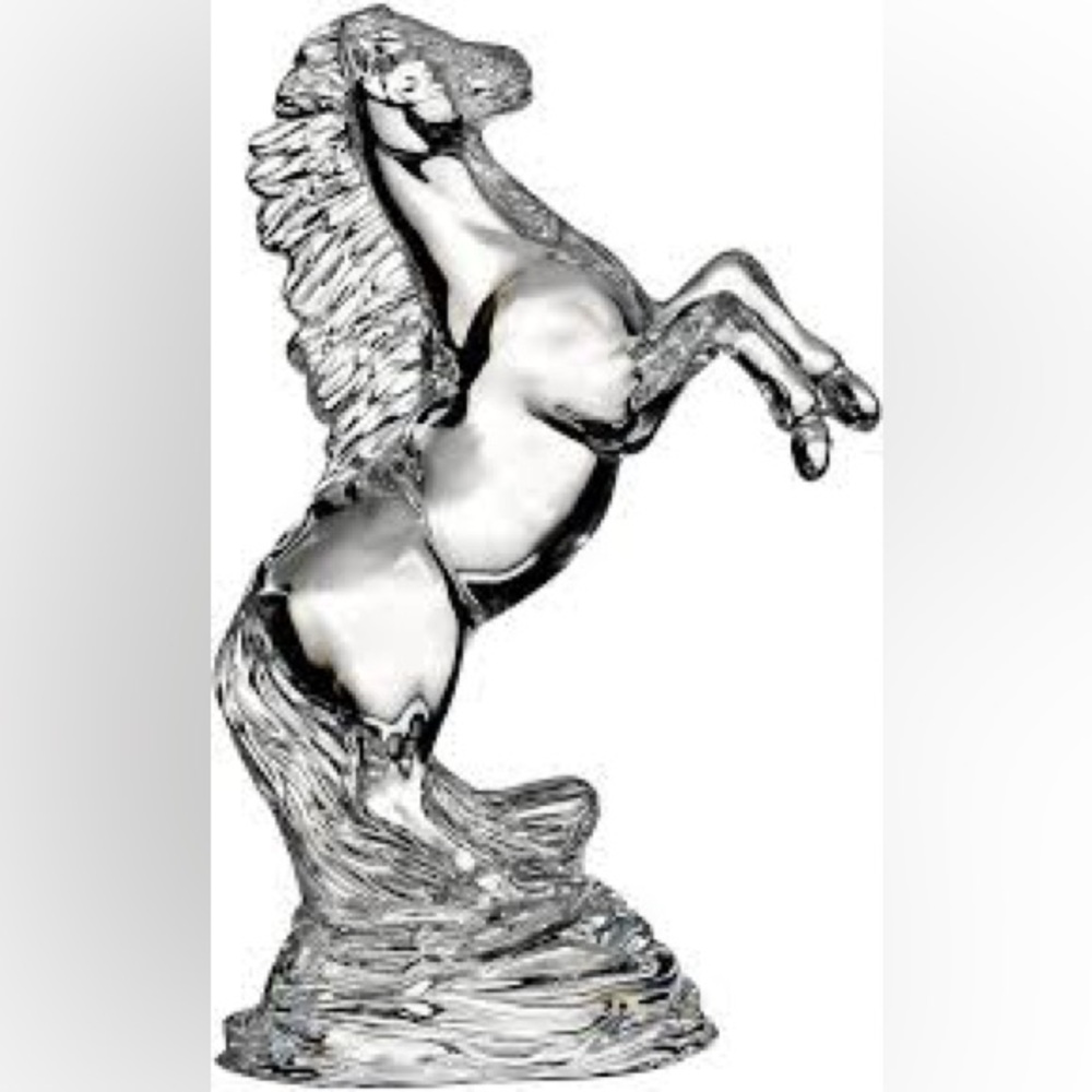 Waterford rearing horse